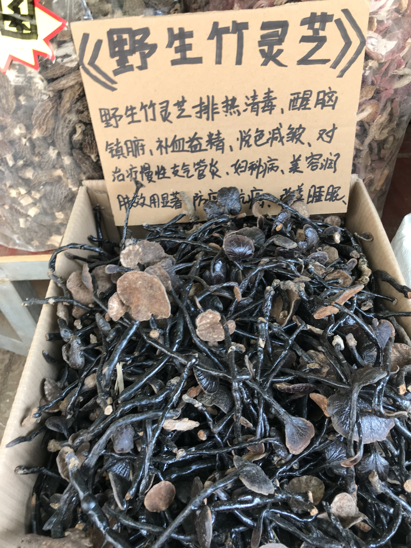 竹灵芝