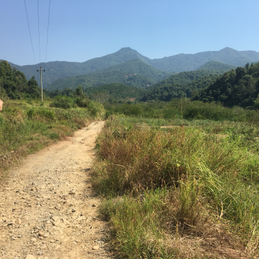 山地出租，60元/亩，山上全开好路