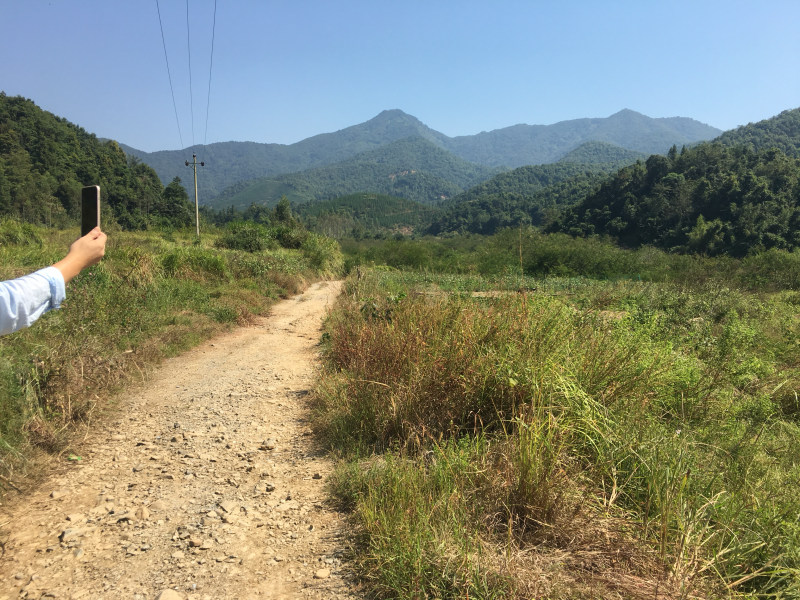 山地出租，60元/亩，山上全开好路