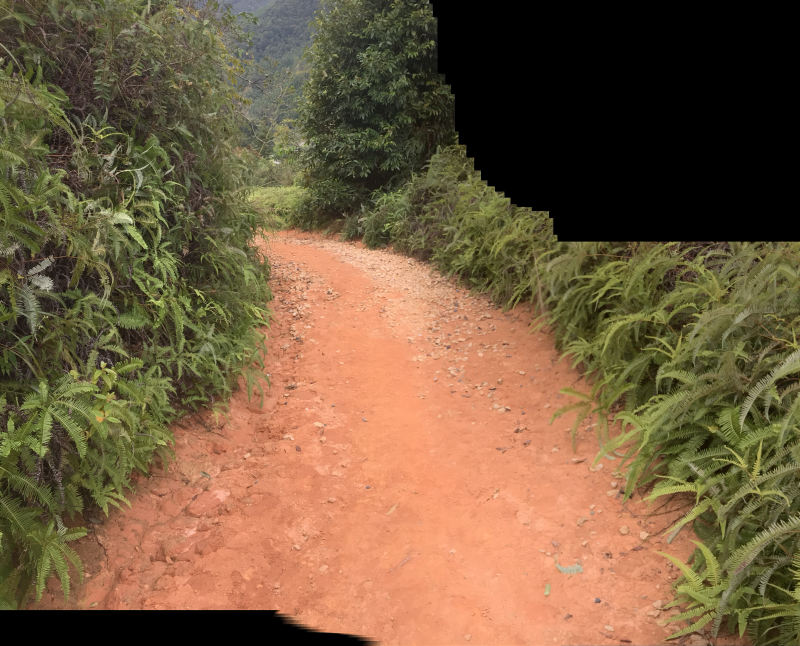山地出租，60元/亩，山上全开好路