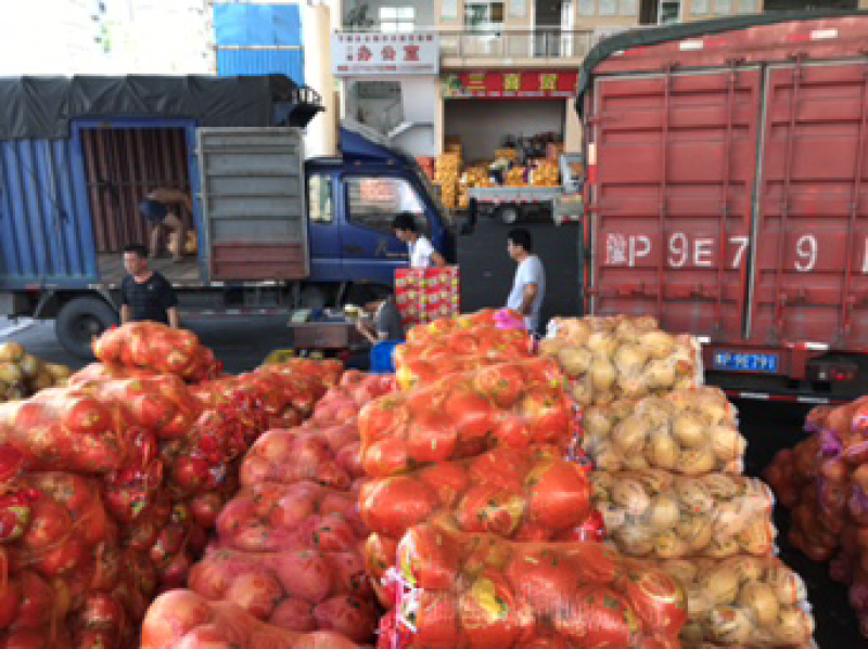 柚子，葡萄柚，红心柚，蜜柚，三红柚，每天出货20万斤。
