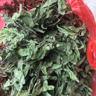 薄荷叶