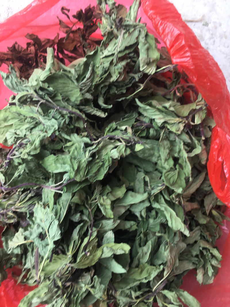 薄荷叶