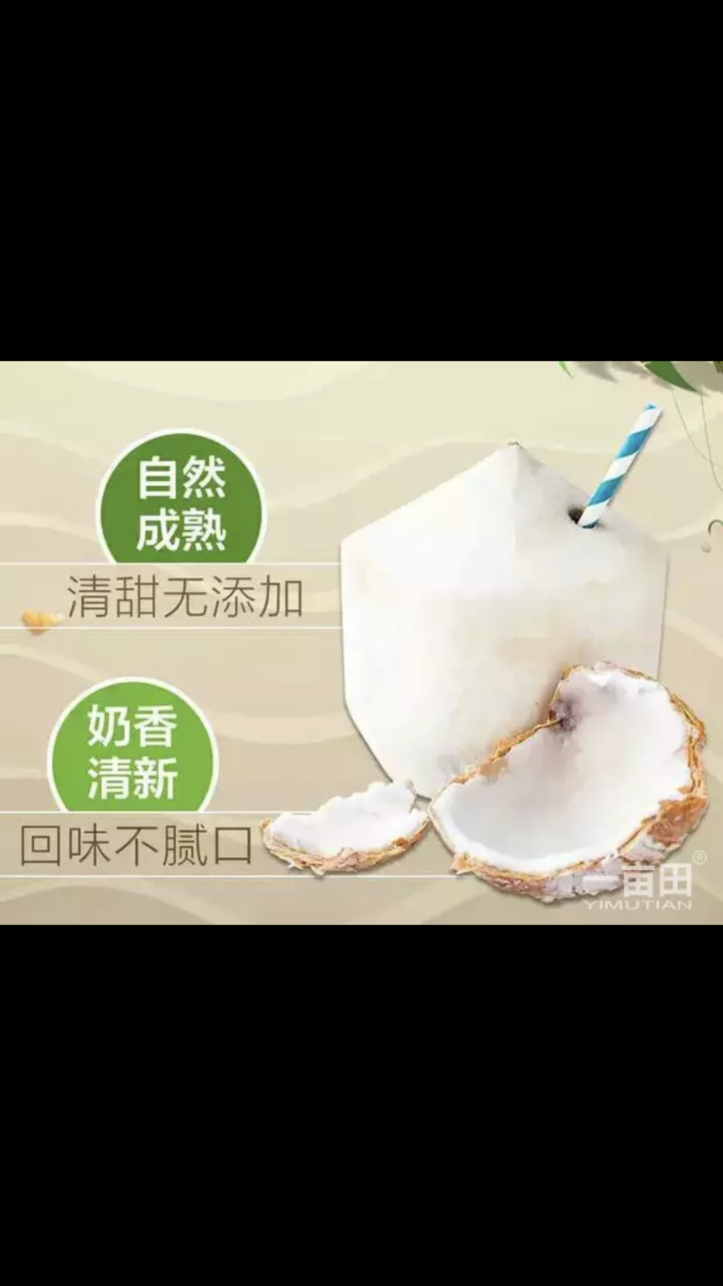 海南椰子