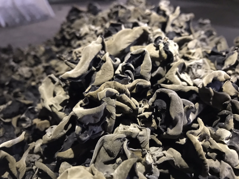 黑木耳东北特产木耳碗耳