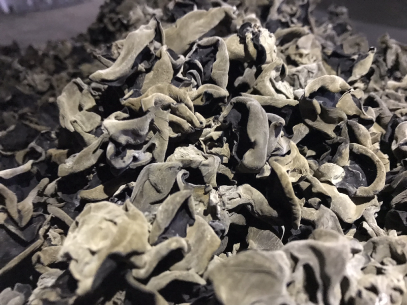 黑木耳东北特产木耳碗耳