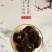 特级光板黑木耳