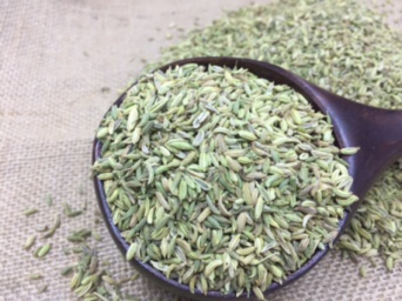 国产的小茴香新疆产全绿卤肉料增加香味卤水香料500克