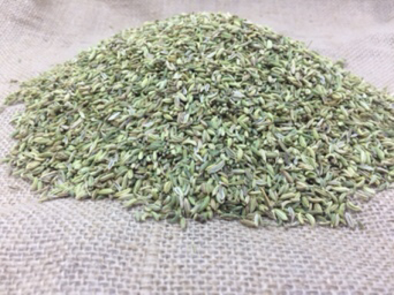 国产的小茴香新疆产全绿卤肉料增加香味卤水香料500克