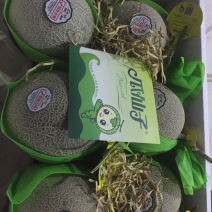 网纹蜜瓜，玫珑瓜，网纹瓜