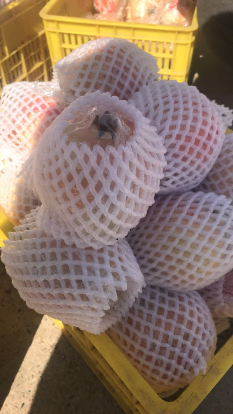 《临潼石榴》