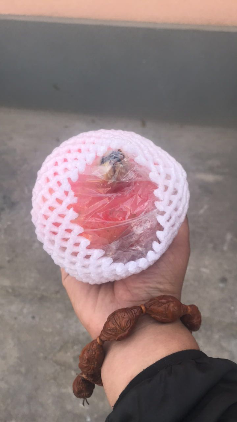 《临潼石榴》
