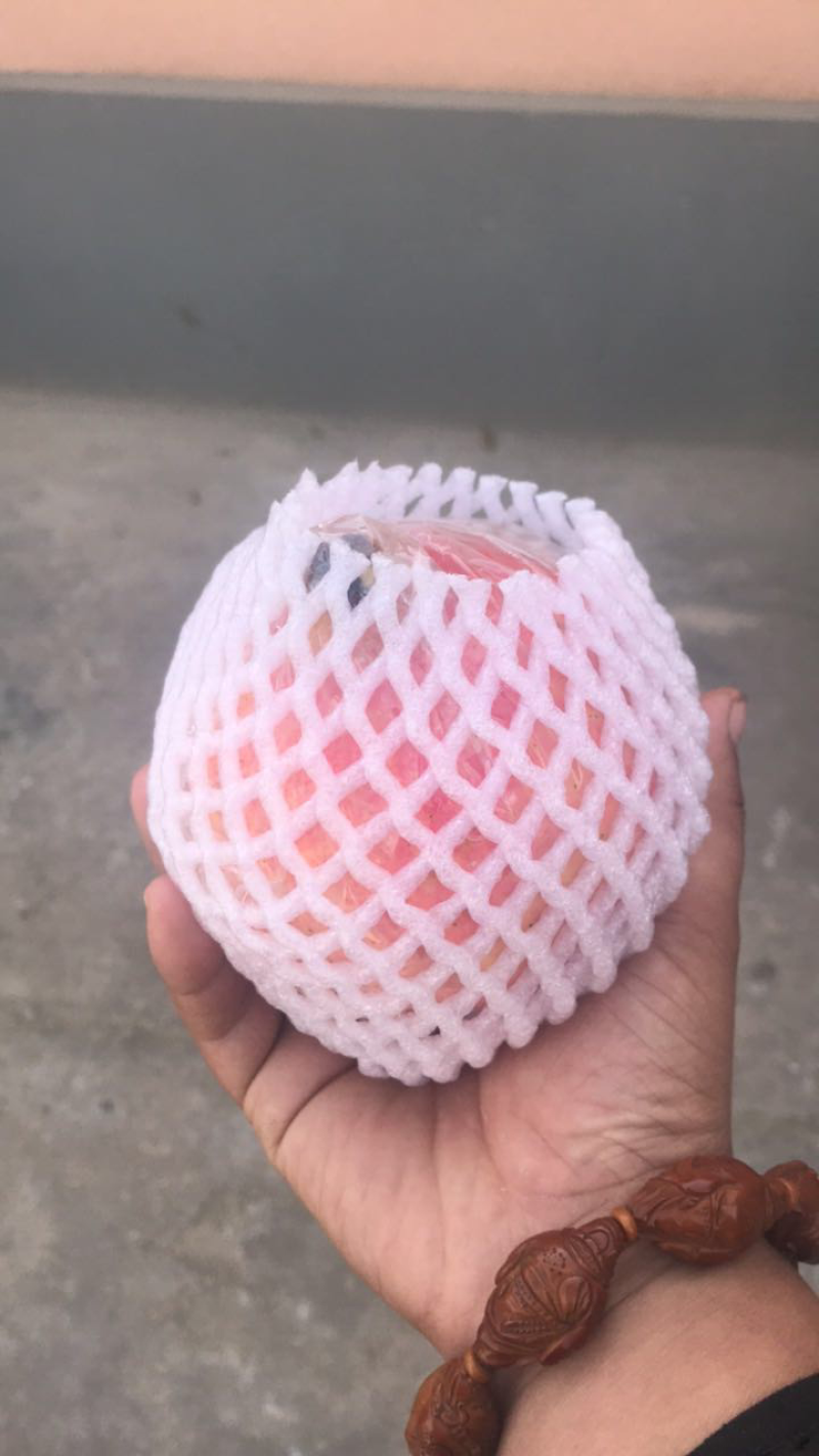 《临潼石榴》