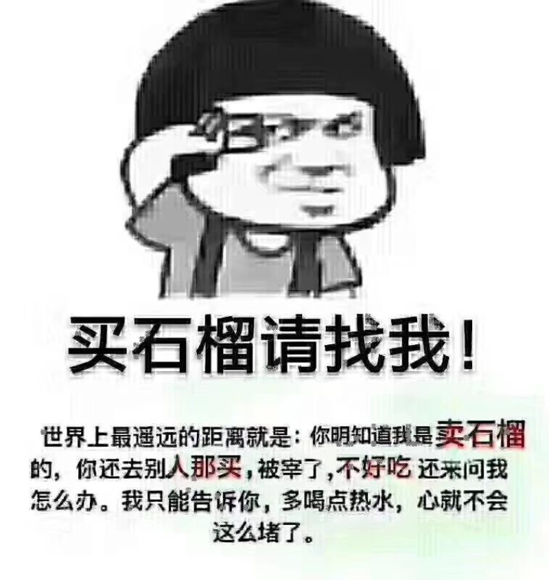《临潼石榴》