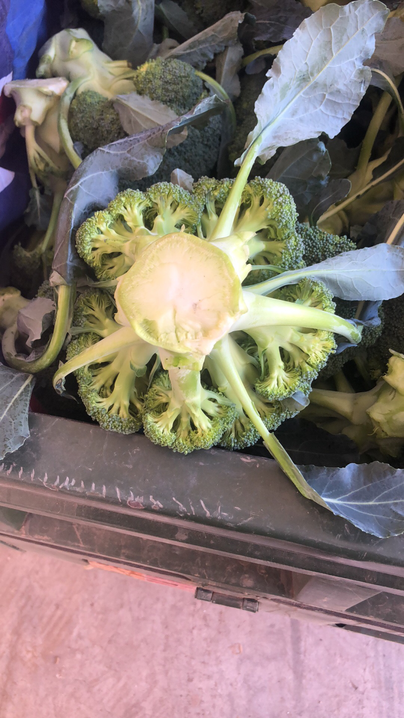 西兰花