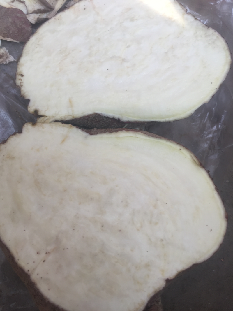 高淀粉，约八红玉
