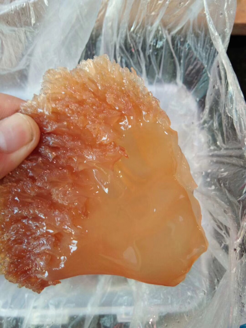 海蜇皮，海蜇头