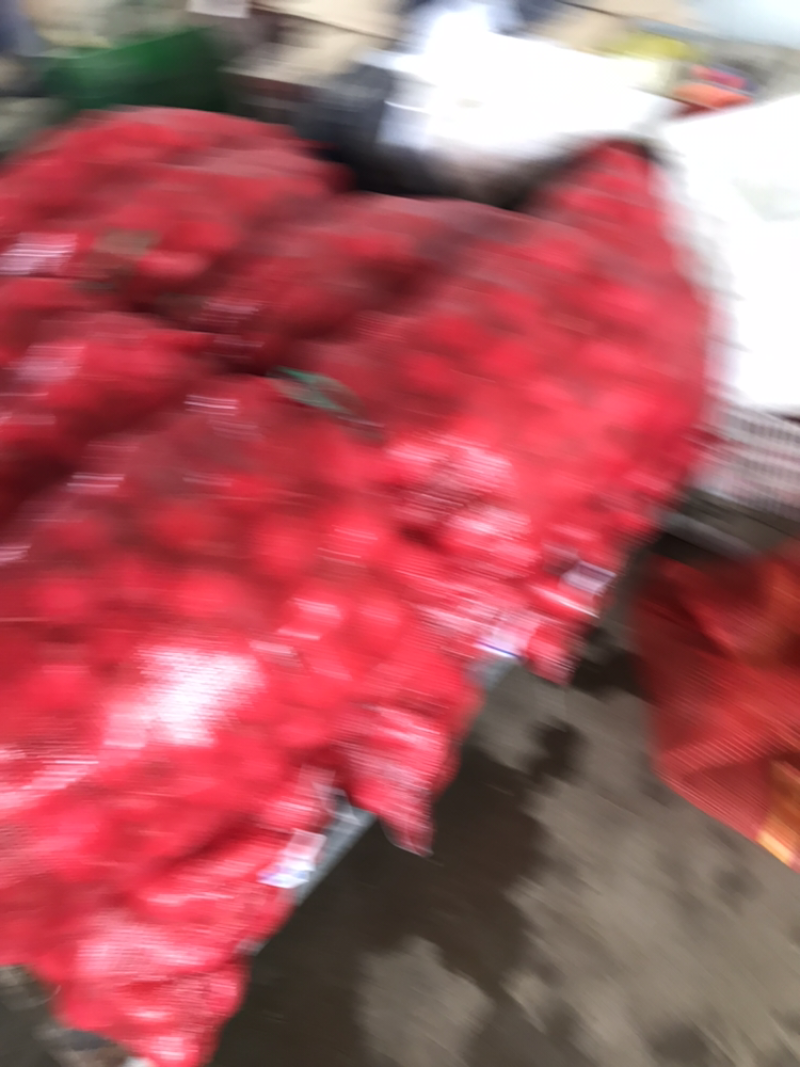 各种萝卜。盐城东台蔬菜基地。