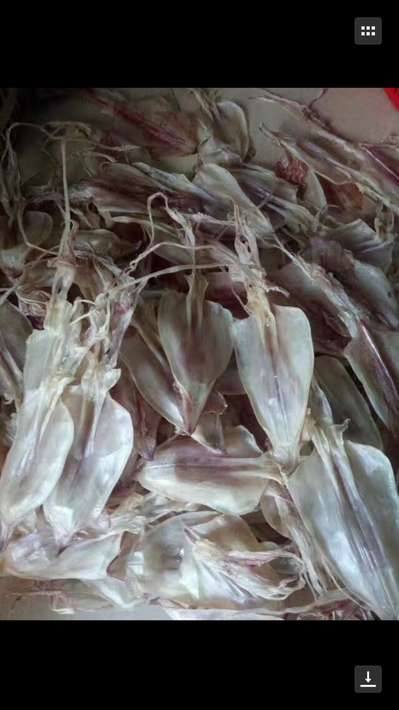 南海诸岛纯天然深海蚘鱼干