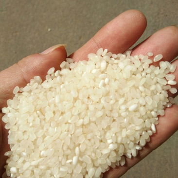 碎米