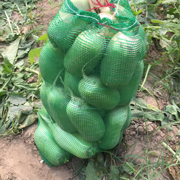 萝卜