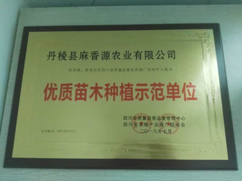 大量出售正宗藤椒奶苗营养杯苗。嫁接营养杯苗