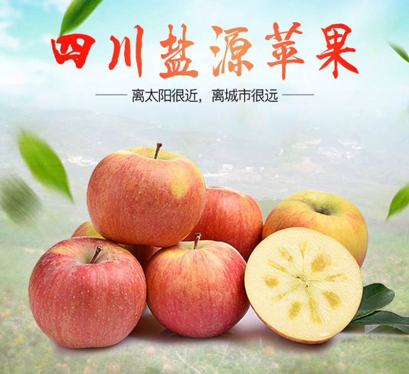大凉山丑苹果盐源苹果