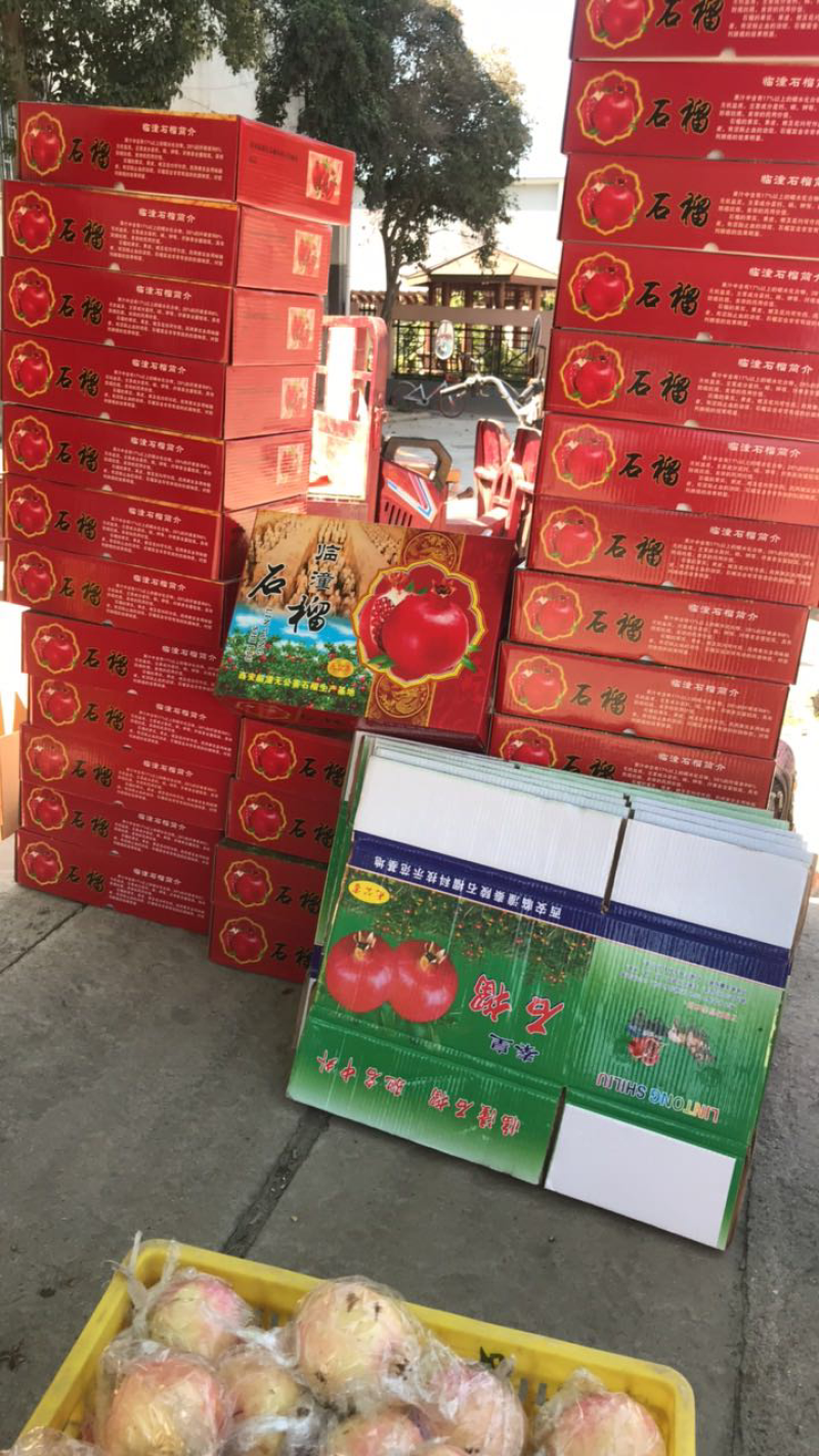 《临潼石榴》