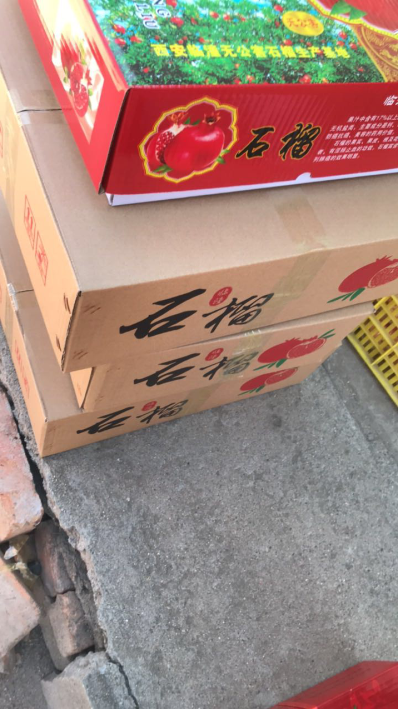 《临潼石榴》