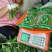 精品芦蒿供应