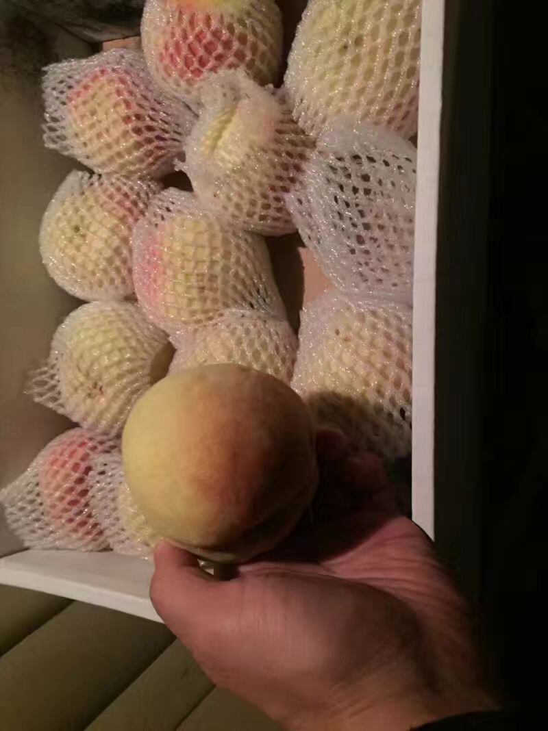 蜜桃