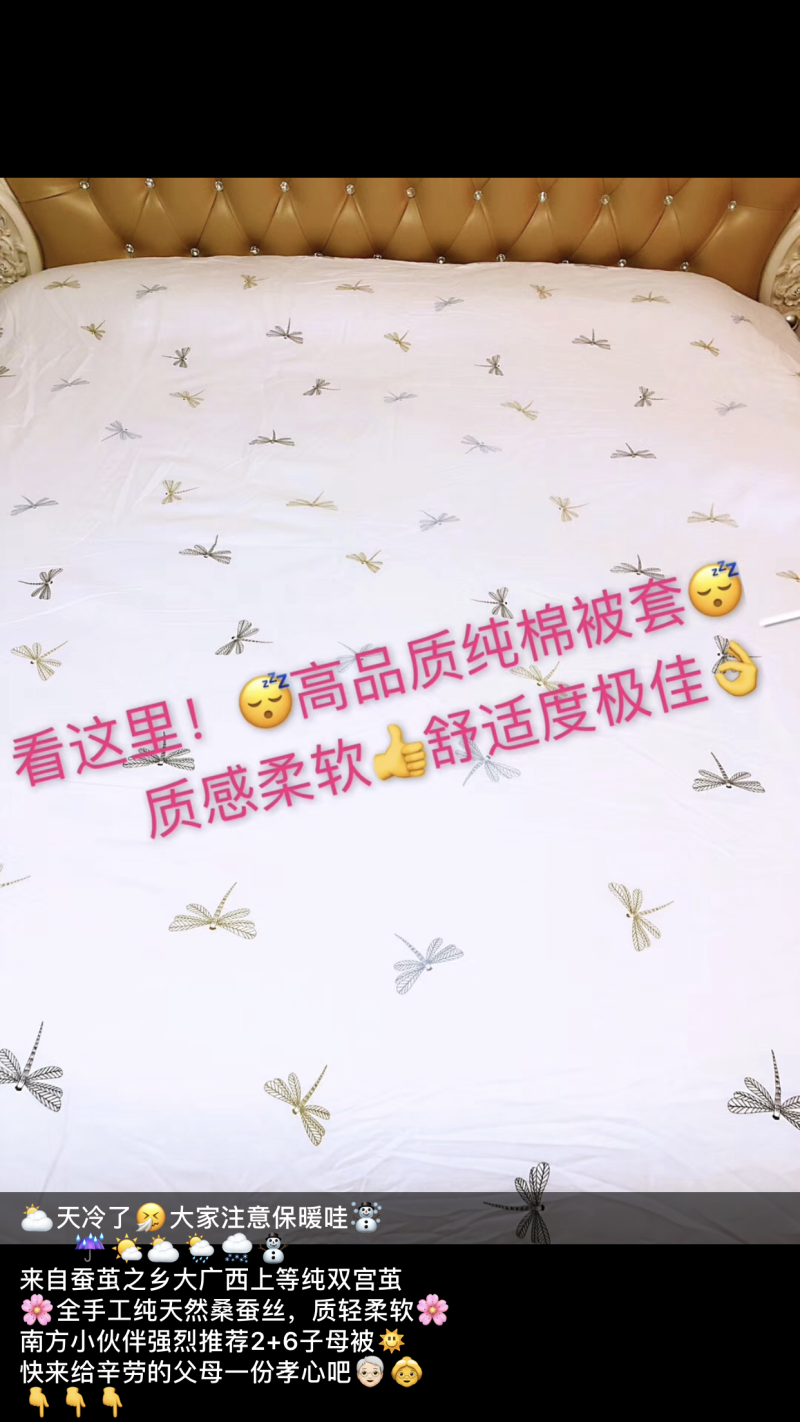 百分百双宫蚕丝被