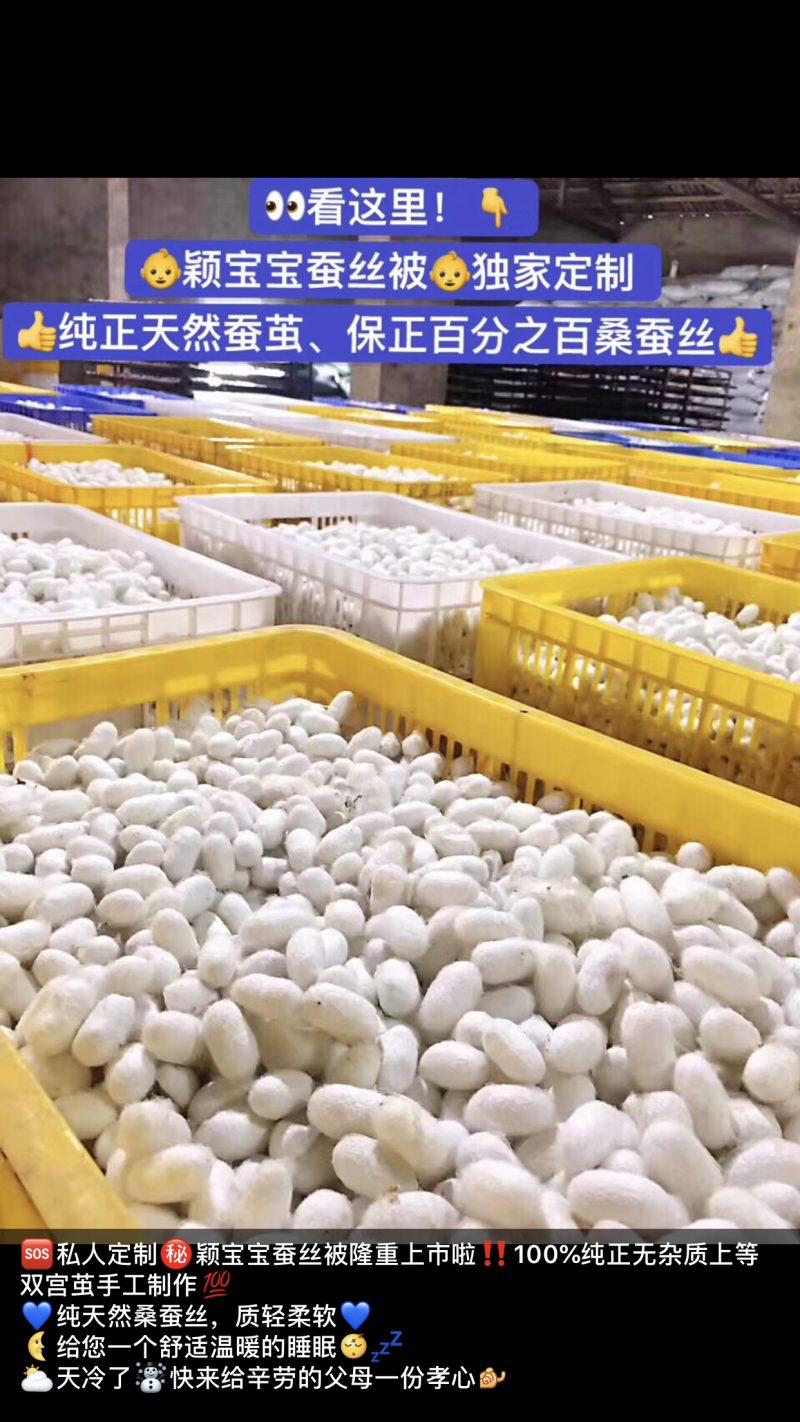 百分百双宫蚕丝被