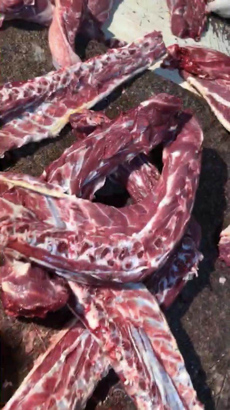 河间精品羊脊骨产地直发，保质保量，欢迎老板选购