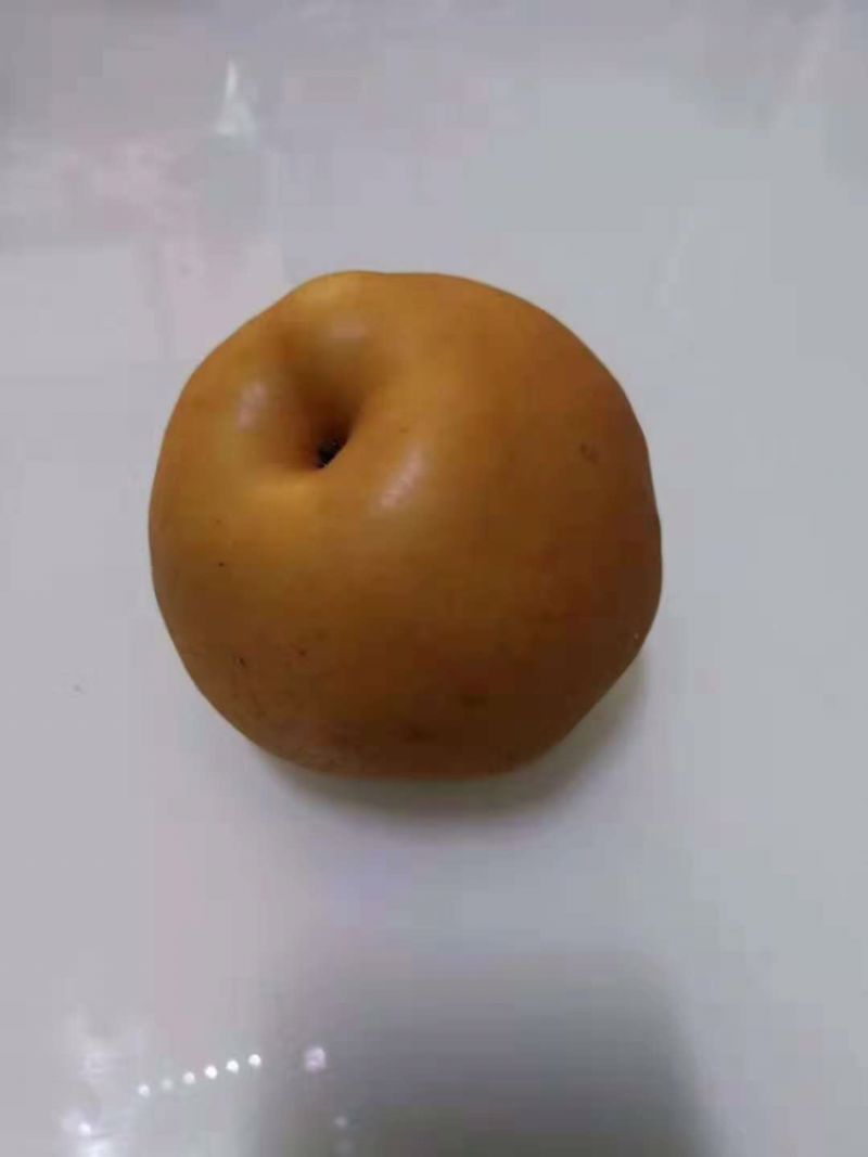 河南周口开封新鲜晚秋黄梨陆续大量上市求合作