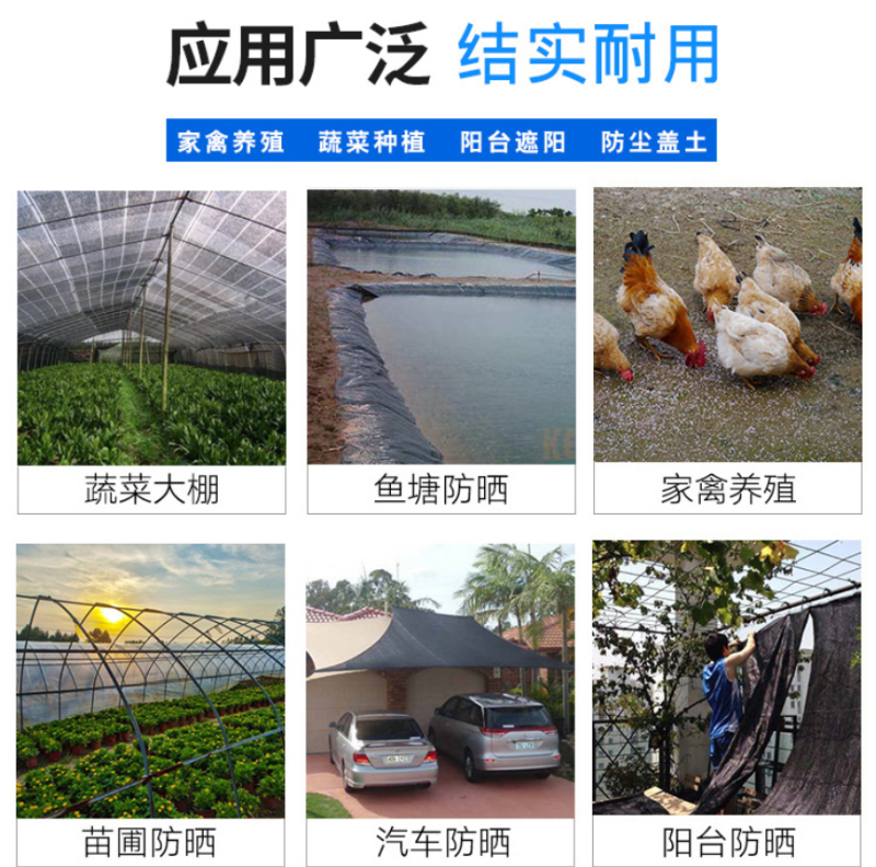 梧桐树农资