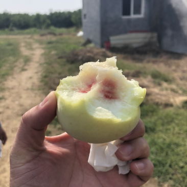 蜜桃