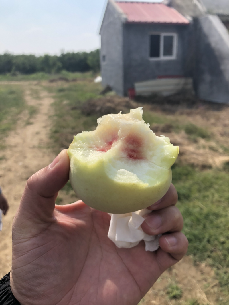 蜜桃