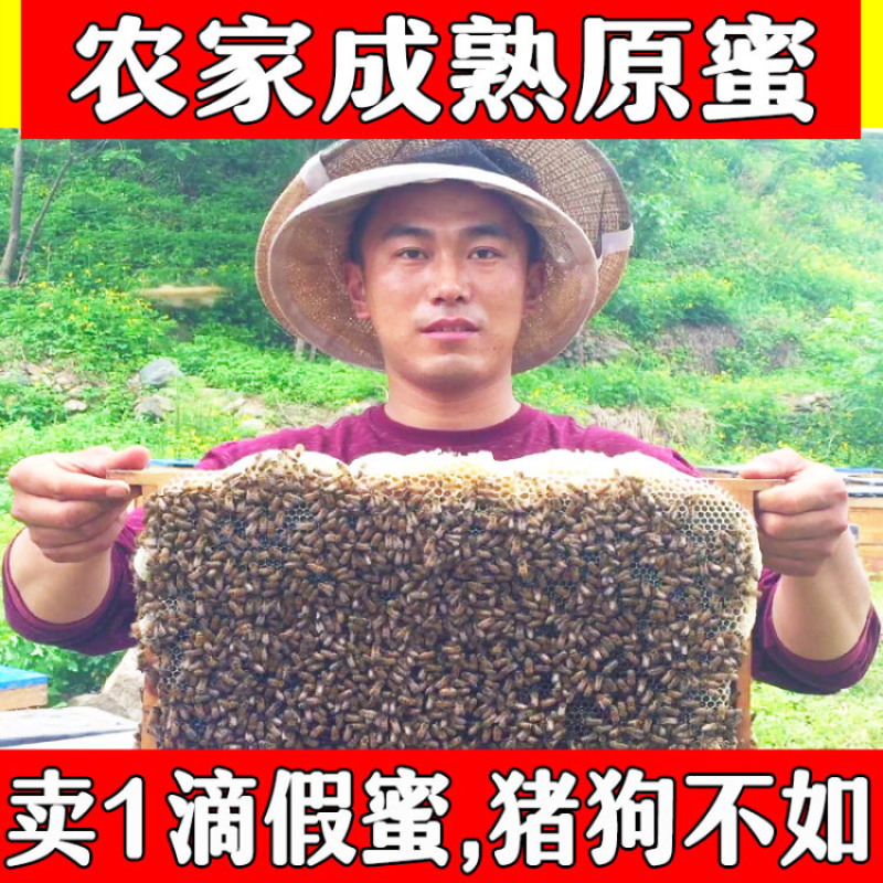农家百花蜂蜜土蜂蜜500克一斤