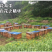 农家百花蜂蜜土蜂蜜500克一斤