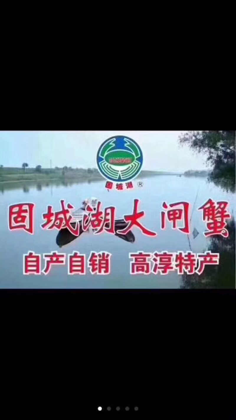 固城湖大闸蟹
