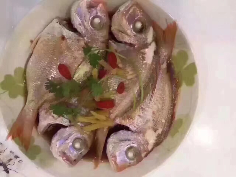 赤棕鱼