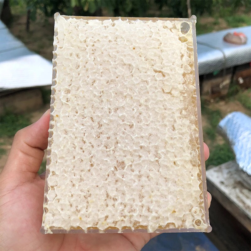 蜂巢蜜批发零售