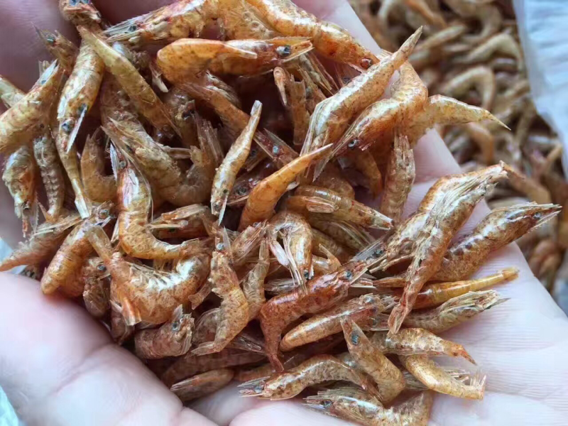清江干虾