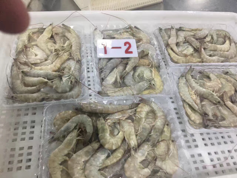 需要🉐️老板联系可以联系
