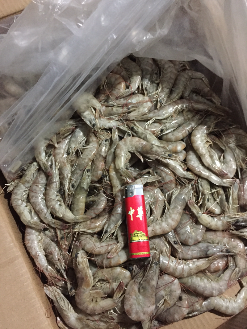 需要🉐️老板联系可以联系