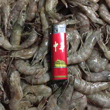 需要🉐️老板联系可以联系