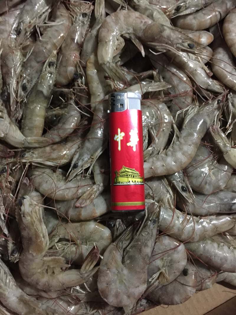 需要🉐️老板联系可以联系
