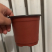 双色花盆揉不碎的花盆！
