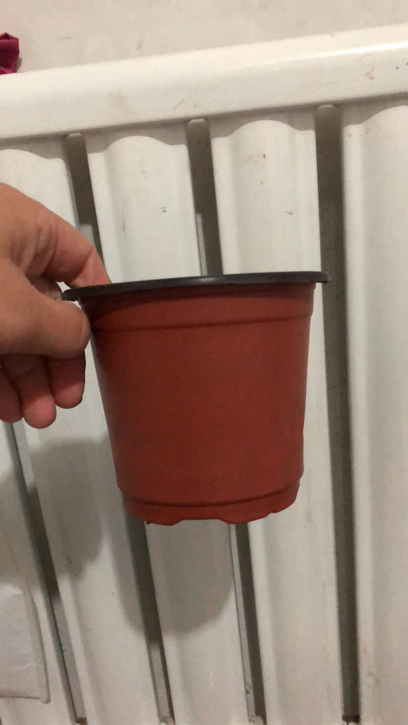 双色花盆揉不碎的花盆！